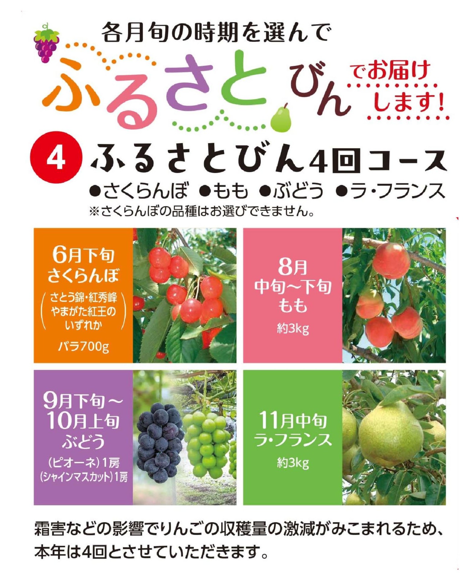 ④ ふるさとびん | 天童ふる里果樹園